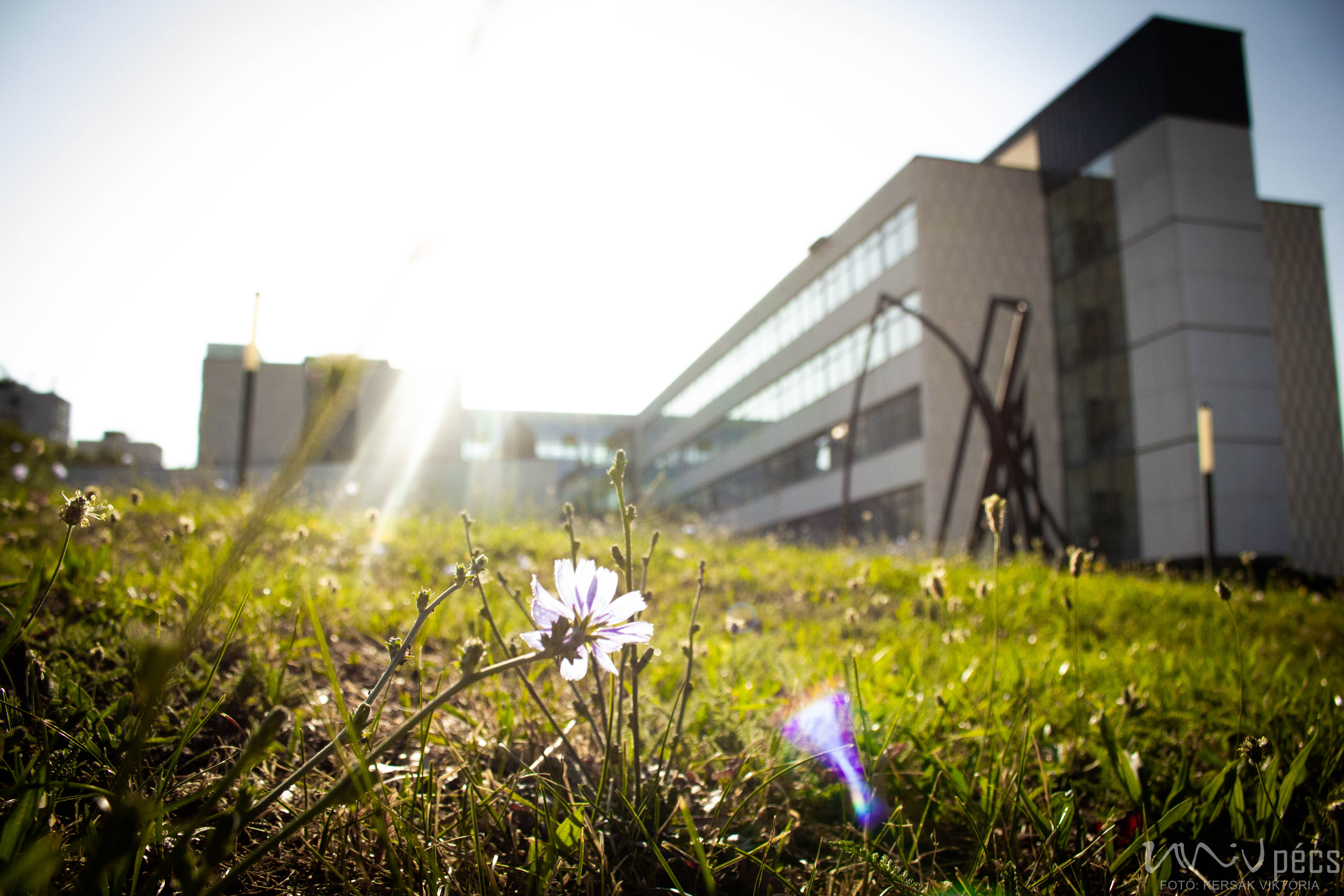 MIK campus