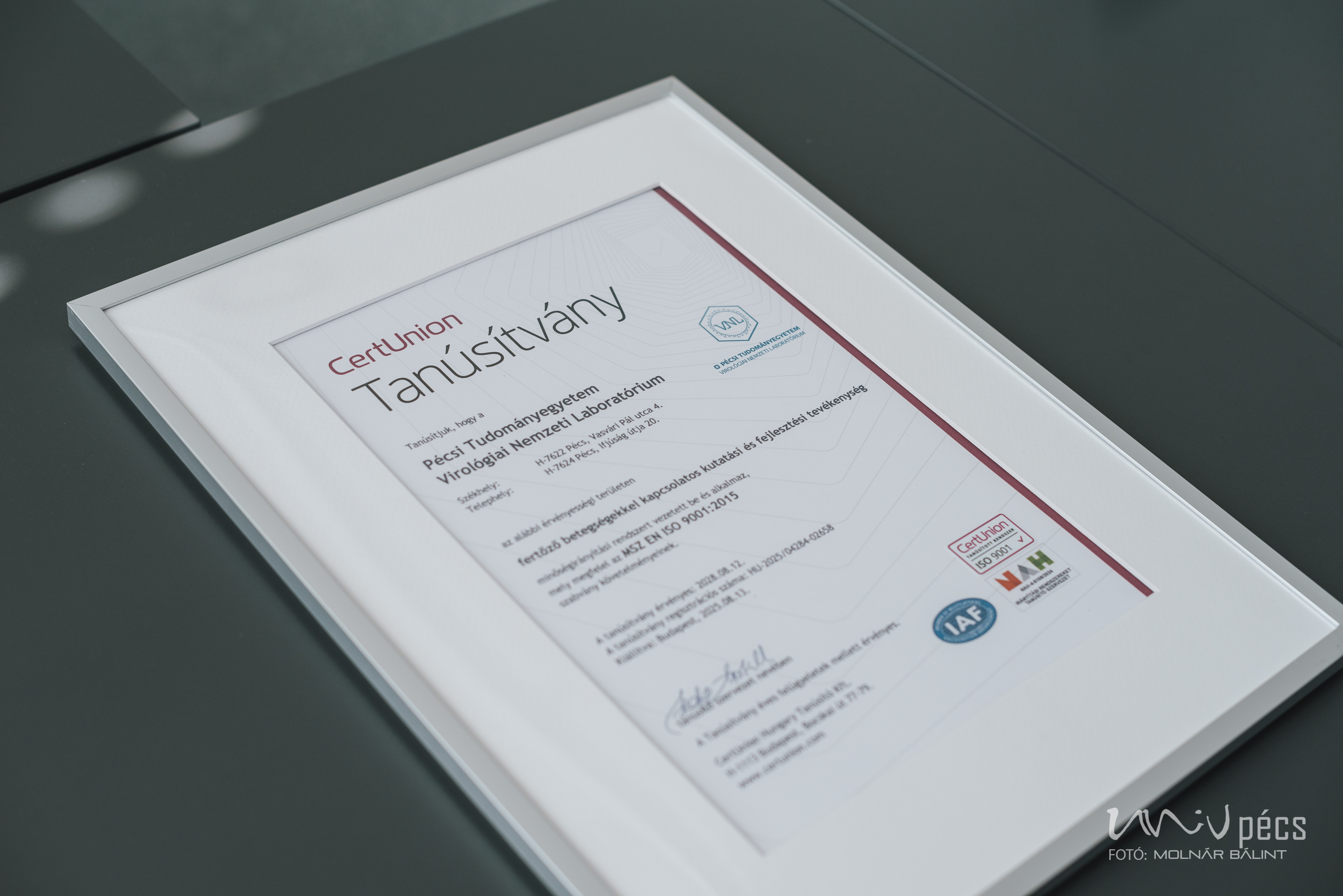 CertUnion tanúsítvány ISO minősítésről