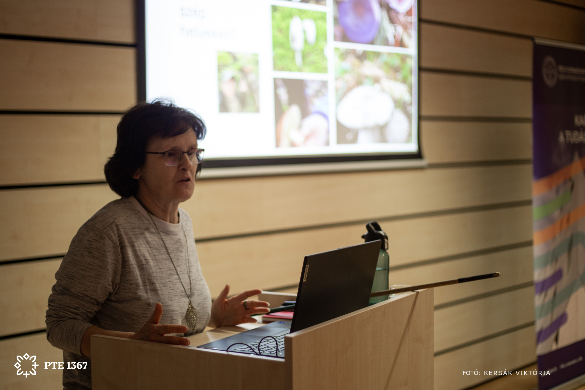 Pollák Edit - PTE TTK