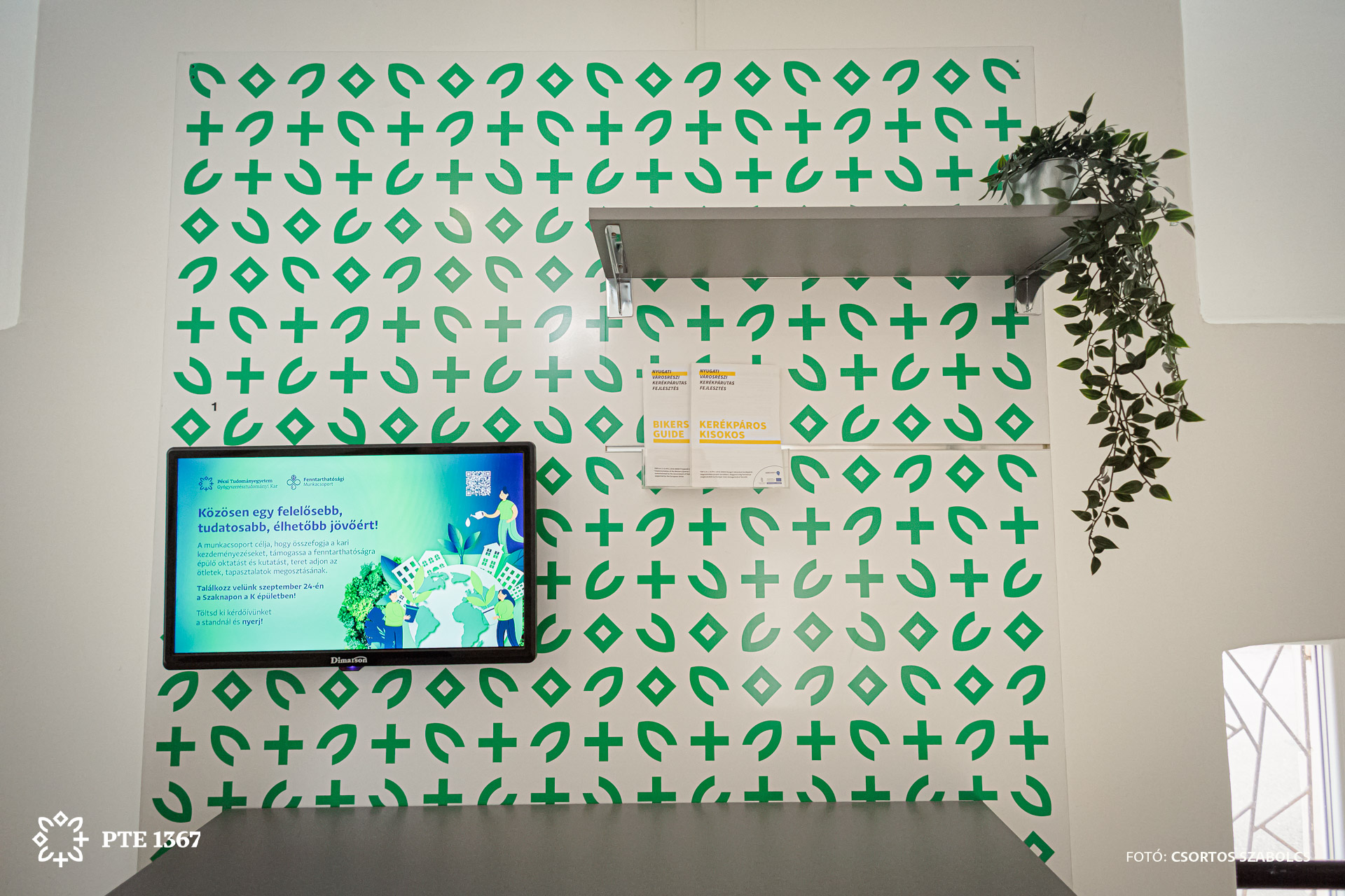 PTE GYTK - UQA Teremfejlesztési projekt