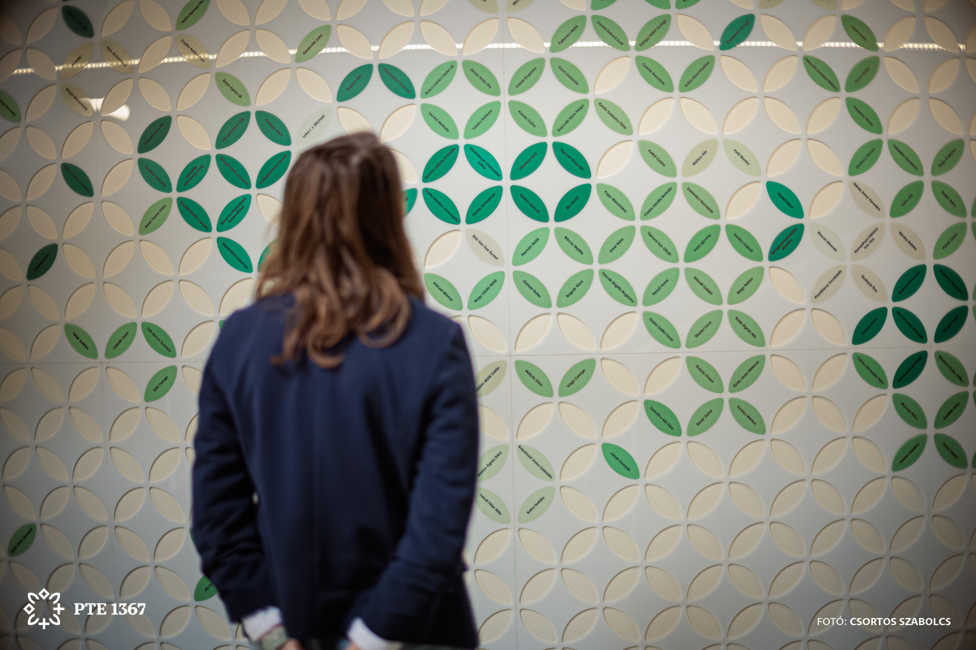 PTE GYTK - UQA Teremfejlesztési projekt