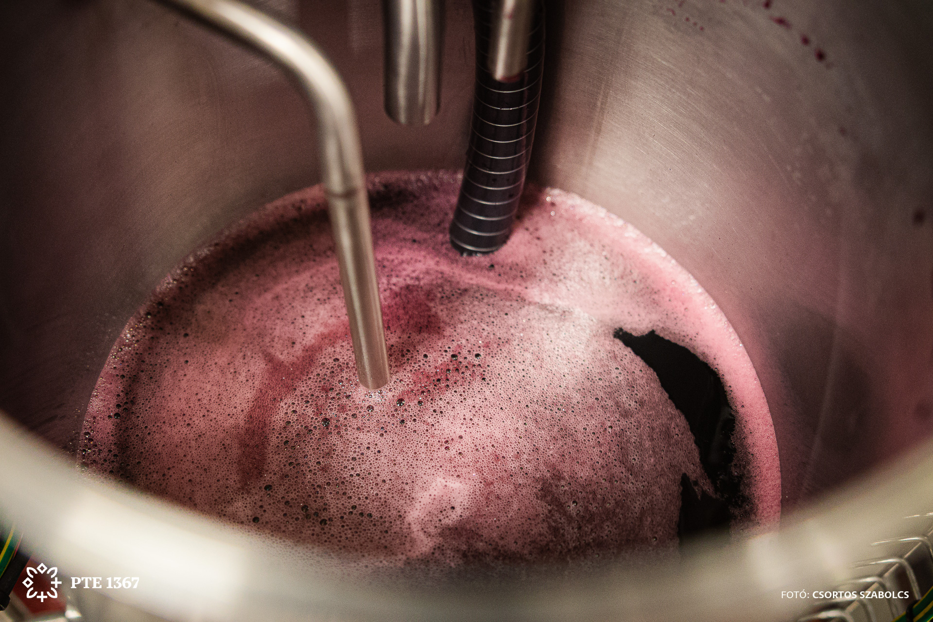 Alkoholmentesítés - PTE SZBKI