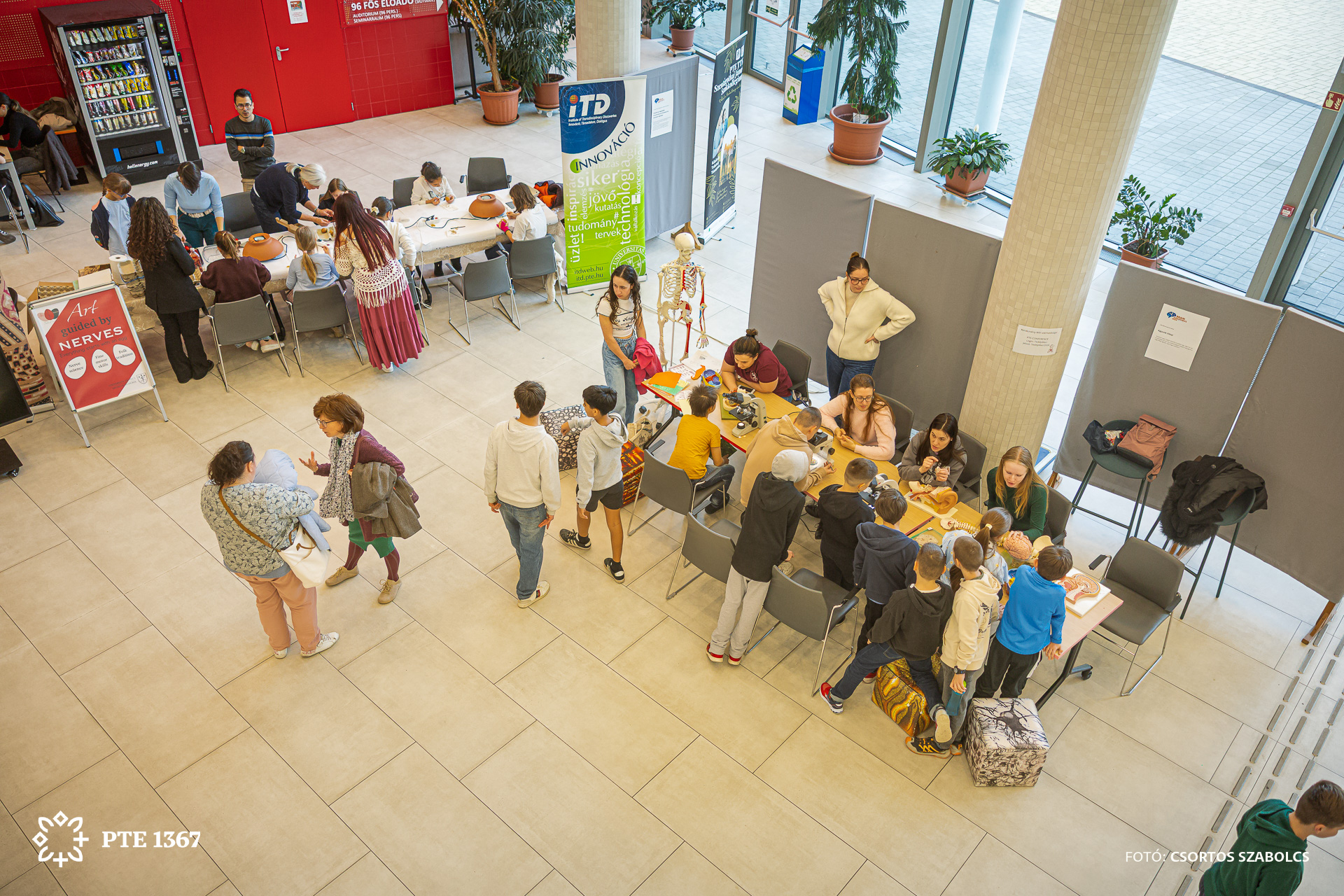 Agykutatás Hete 2026