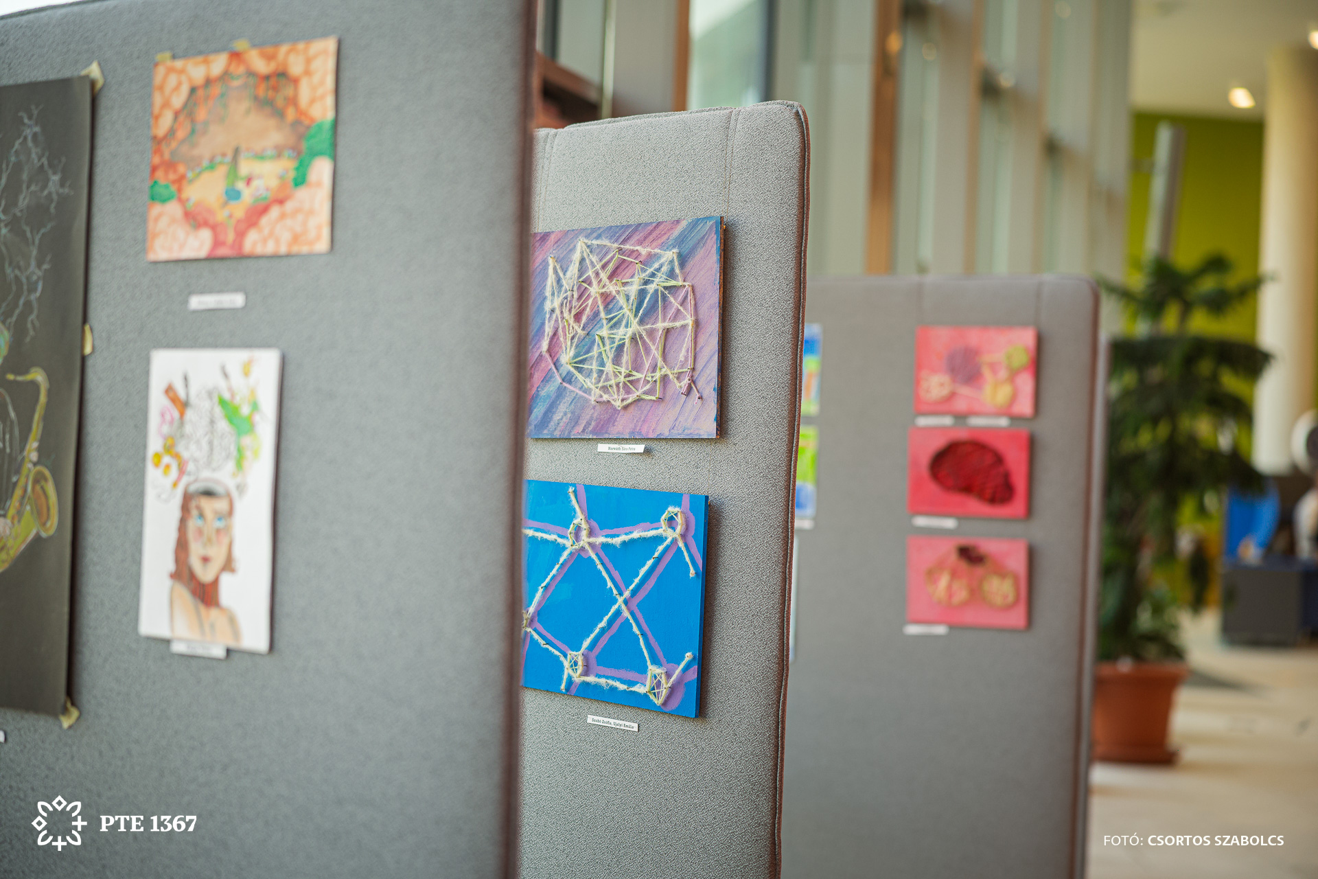 Agykutatás Hete 2026