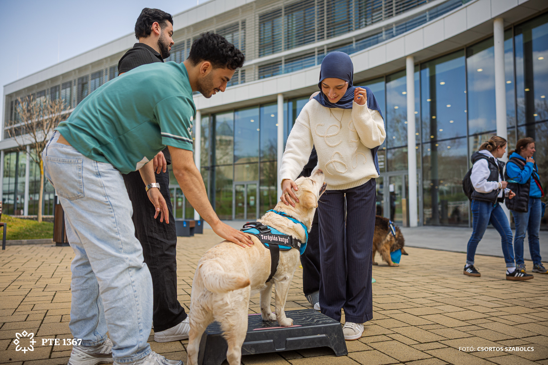 Agykutatás Hete 2026