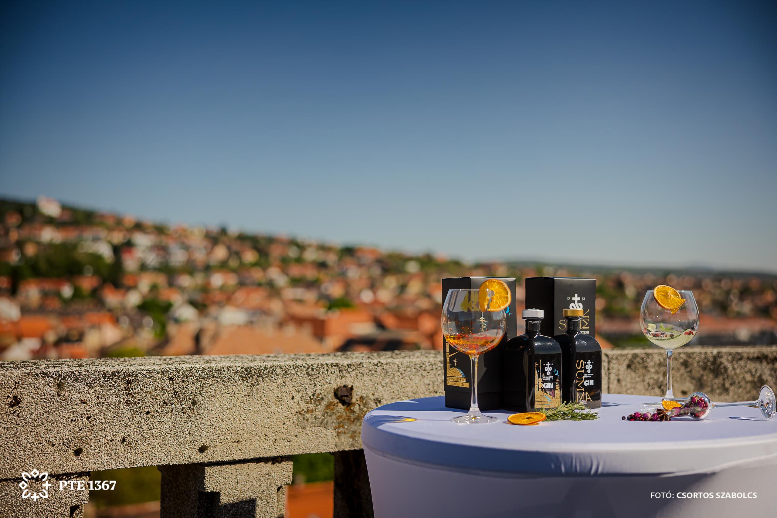 PTE SZBKI Gin bemutató