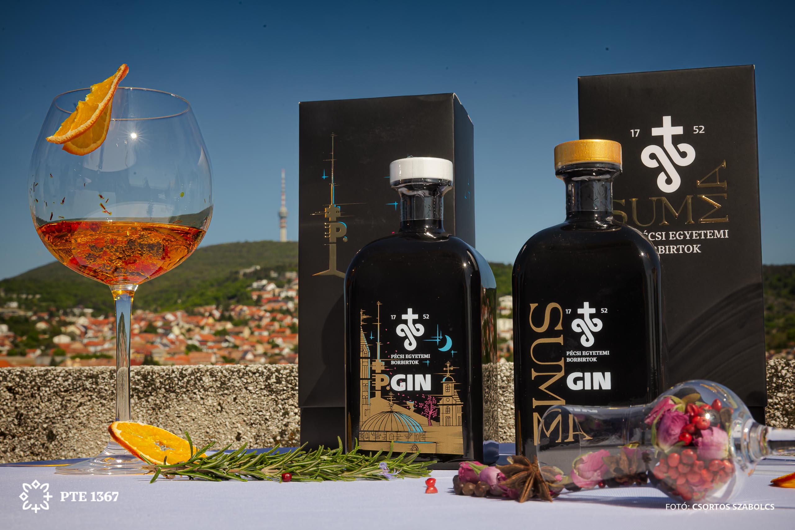 PTE SZBKI Gin bemutató