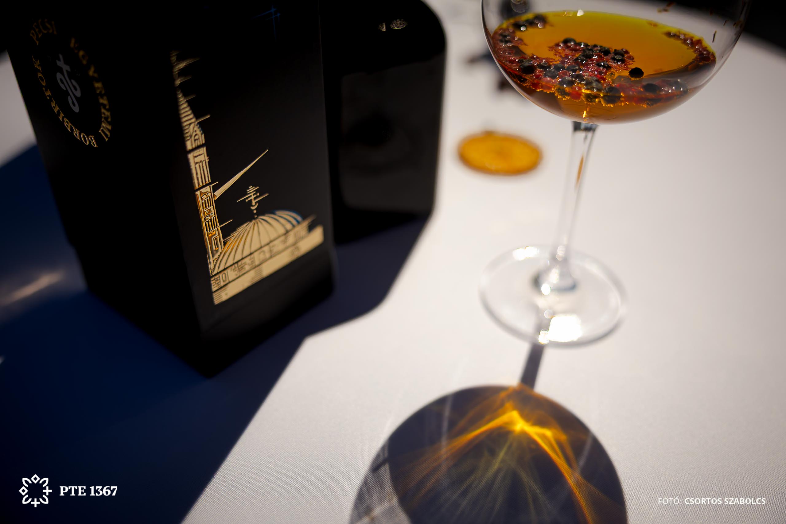 PTE SZBKI Gin bemutató