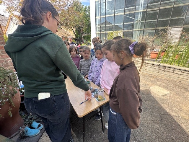 Környezetünk – egészségünk – közös jövőnk vetélkedő