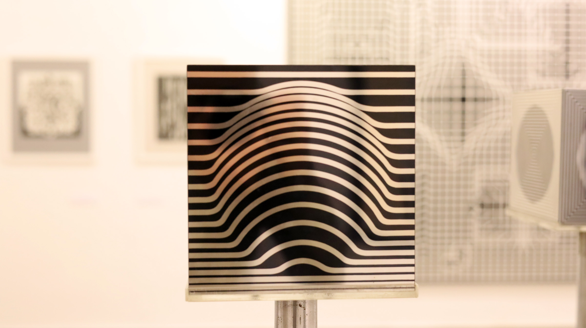 Vasarely 50