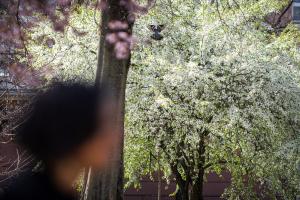 20260323 ALUMNI MK portré Kovács Eszter