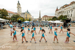 20260919 Fuss a rákgyógyításért! 