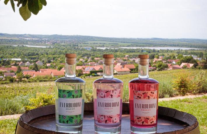 Szőlőalapú gin