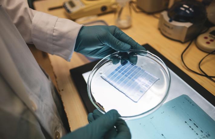 Fontos projekt zárult sikerrel a Pécsi Tudományegyetemen 