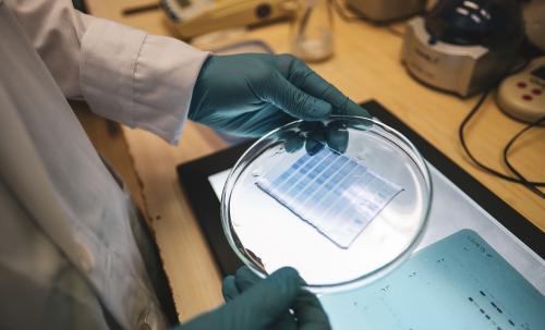 Fontos projekt zárult sikerrel a Pécsi Tudományegyetemen 