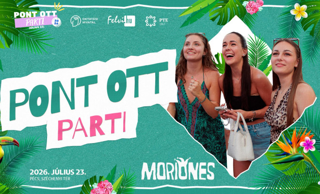 Pont ott parti