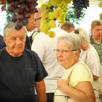 20250823 IV. Országos Csemegeszőlő Kiállítás és Verseny