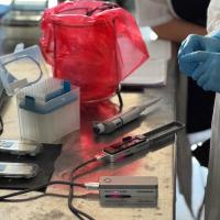 2025 PTE VNL kubai kutatóút