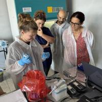 2025 PTE VNL kubai kutatóút