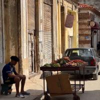 2025 PTE VNL kubai kutatóút