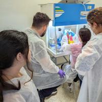 2025 PTE VNL kubai kutatóút