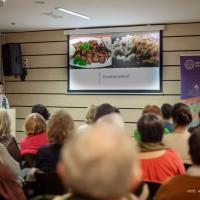 20260128 Gombatitkok: kalandozások a hatodik királyságban