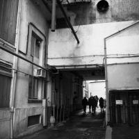 20260129 Alumni Exkluzív: Sörfőzde-látogatás és sörkóstoló a Pécsi Sörfőzdében