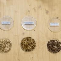 20260129 Alumni Exkluzív: Sörfőzde-látogatás és sörkóstoló a Pécsi Sörfőzdében