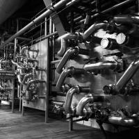 20260129 Alumni Exkluzív: Sörfőzde-látogatás és sörkóstoló a Pécsi Sörfőzdében