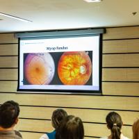 20260217 Bevezetés a látás, a látásrehabilitáció és a szemtréning világába