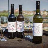 20260313 PTE SZBKI Sajtótájékoztató Palkonyán falvourtech