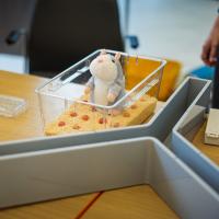 20260319 Agykutatás hete