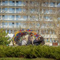 20260319 Agykutatás hete