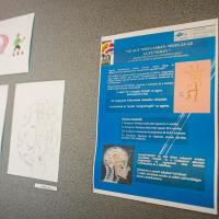 20260319 Agykutatás hete