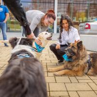 20260319 Agykutatás hete