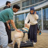 20260319 Agykutatás hete