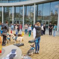 20260319 Agykutatás hete