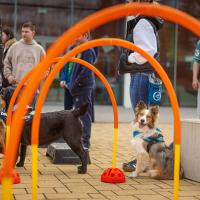 20260319 Agykutatás hete