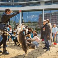 20260319 Agykutatás hete