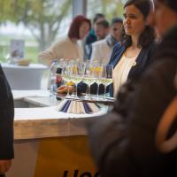 20260330 Pogány reptér Müncheni gép érkezése