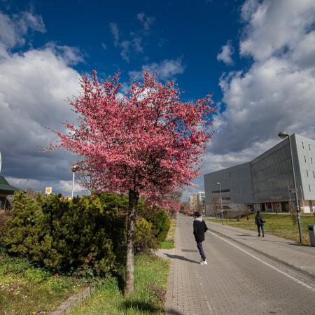 PTE Egyetemi Könyvtár és Tudásközpont
