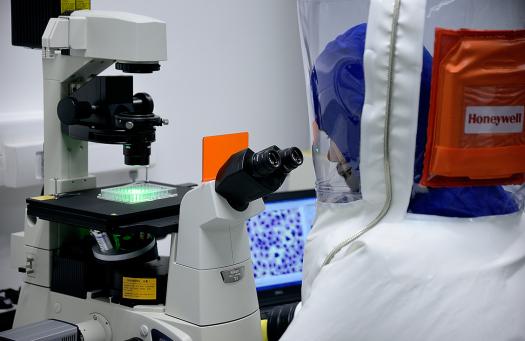 Fontos mérföldkőhöz ért a világszínvonalú pécsi virológiai laboratórium