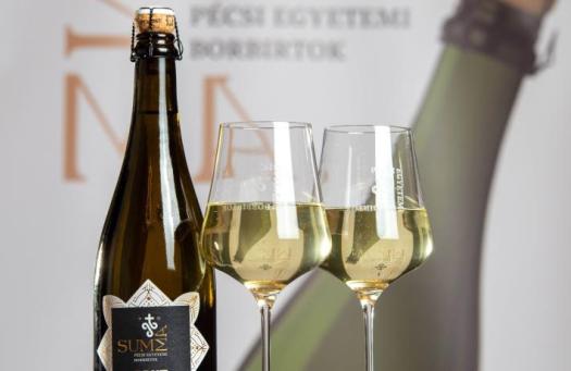 Premier után mutatták be Pécs legújabb büszkeségét (bama.hu)