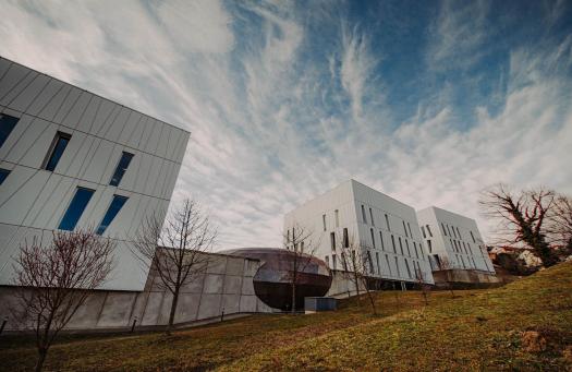 Új korszak kezdődik Pécsen a szúnyogok elleni védekezésben (magyarnemzet.hu)