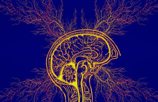 Egy PTE-s fejlesztésnek köszönhetően javulhat az epilepsziában szenvedők élete (HVG)