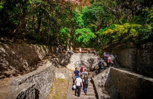 Áttörést érhettek el magyar kutatók: akár fél év edzés is kulcsfontosságú lehet a rák megelőzésében (pulzus.hvg.hu)